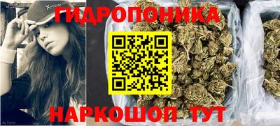 стаф Тулун